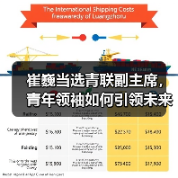 崔巍当选青联副主席,青年领袖如何引领未来?(图4) 崔巍当选青联副主席,青年领袖如何引领未来?(图4)