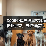 3000公里光缆星夜驰援贵州洪灾,守护通信生命线(图1) 3000公里光缆星夜驰援贵州洪灾,守护通信生命线(图1)