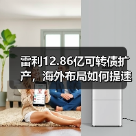 雷利12.86亿可转债扩产,海外布局如何提速?(图1) 雷利12.86亿可转债扩产,海外布局如何提速?(图1)