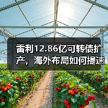 雷利12.86亿可转债扩产,海外布局如何提速?(图2) 雷利12.86亿可转债扩产,海外布局如何提速?(图2)