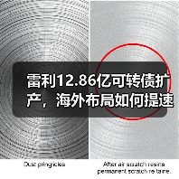 雷利12.86亿可转债扩产,海外布局如何提速?(图3) 雷利12.86亿可转债扩产,海外布局如何提速?(图3)