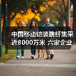 中国移动铠装跳纤集采近8000万米 六家企业中标（图1）