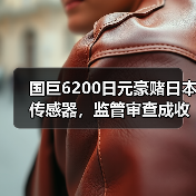 国巨6200日元豪赌日本传感器,监管审查成收购关键(图2) 国巨6200日元豪赌日本传感器,监管审查成收购关键(图2)