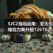 SJC2海缆启用:亚太传输能力飙升超126Tbps,AI应用更高效?(图4) SJC2海缆启用:亚太传输能力飙升超126Tbps,AI应用更高效?(图4)