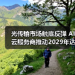 光传输市场触底反弹 AI云服务商推动2029年达190亿美元（图2）