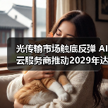 光传输市场触底反弹 AI云服务商推动2029年达190亿美元（图3）