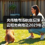 光传输市场触底反弹 AI云服务商推动2029年达190亿美元（图4）