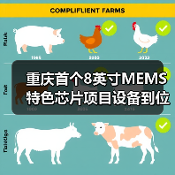 重庆首个8英寸MEMS特色芯片项目设备到位，通线试产临近（图4）