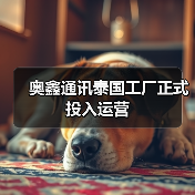 奥鑫通讯泰国工厂正式投入运营(图2) 奥鑫通讯泰国工厂正式投入运营(图2)