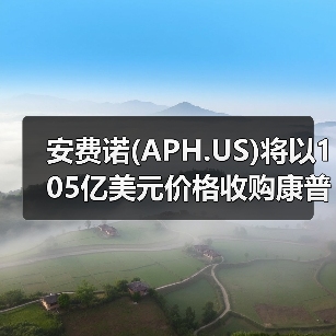 安费诺(APH.US)将以105亿美元价格收购康普(COMM.US)旗下宽带连接业务(图4) 安费诺(APH.US)将以105亿美元价格收购康普(COMM.US)旗下宽带连接业务(图4)