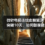 微针电极连续血糖监测突破10天，如何颠覆糖尿病管理？（图3）