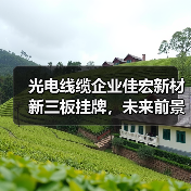 光电线缆企业佳宏新材新三板挂牌，未来前景如何？（图2）