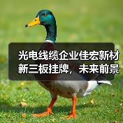 光电线缆企业佳宏新材新三板挂牌，未来前景如何？（图1）