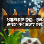 欧非互联新通道:海底光缆如何打造数字走廊?(图3) 欧非互联新通道:海底光缆如何打造数字走廊?(图3)