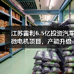 江苏雷利6.5亿投资汽车微电机项目,产能升级能否引领行业?(图3) 江苏雷利6.5亿投资汽车微电机项目,产能升级能否引领行业?(图3)