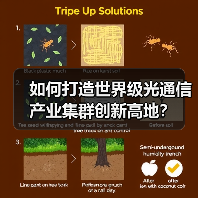 如何打造世界级光通信产业集群创新高地？（图3）