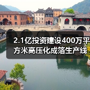 2.1亿投资建设400万平方米高压化成箔生产线 如何优化产品结构?(图3) 2.1亿投资建设400万平方米高压化成箔生产线 如何优化产品结构?(图3)
