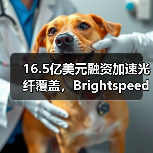 16.5亿美元融资加速光纤覆盖,Brightspeed如何拓展500万家庭网络?(图2) 16.5亿美元融资加速光纤覆盖,Brightspeed如何拓展500万家庭网络?(图2)