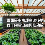 墨西哥东南部高速传输骨干网建设如何推动数字包容与经济振兴?(图2) 墨西哥东南部高速传输骨干网建设如何推动数字包容与经济振兴?(图2)
