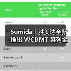 Sumida|胜美达全新推出 WCDMT 系列金属复合一体成型电感器(图2) Sumida|胜美达全新推出 WCDMT 系列金属复合一体成型电感器(图2)