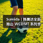 Sumida|胜美达全新推出 WCDMT 系列金属复合一体成型电感器(图3) Sumida|胜美达全新推出 WCDMT 系列金属复合一体成型电感器(图3)