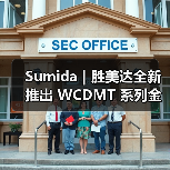 Sumida|胜美达全新推出 WCDMT 系列金属复合一体成型电感器(图4) Sumida|胜美达全新推出 WCDMT 系列金属复合一体成型电感器(图4)