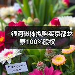 银河磁体拟购买京都龙泰100%股权（图2）