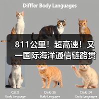 811公里!超高速!又一国际海洋通信链路贯通(图3) 811公里!超高速!又一国际海洋通信链路贯通(图3)