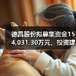 德昌股份拟募集资金154,031.30万元,投资建设汽车电机及小家电产品建设项目(图4) 德昌股份拟募集资金154,031.30万元,投资建设汽车电机及小家电产品建设项目(图4)