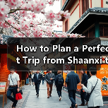 How to Plan a Perfect Trip fro