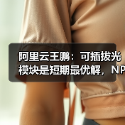 阿里云王鹏：可插拔光模块是短期最优解，NPO相比CPO可能落地更快（图2）