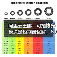 阿里云王鹏：可插拔光模块是短期最优解，NPO相比CPO可能落地更快（图3）