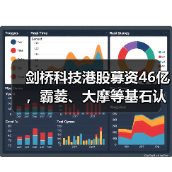 剑桥科技港股募资46亿，霸菱、大摩等基石认购（图3）