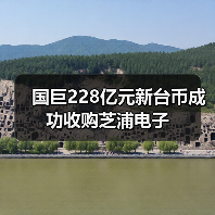 国巨228亿元新台币成功收购芝浦电子(图3) 国巨228亿元新台币成功收购芝浦电子(图3)