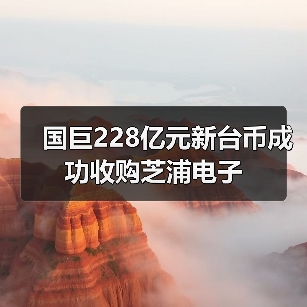 国巨228亿元新台币成功收购芝浦电子(图4) 国巨228亿元新台币成功收购芝浦电子(图4)