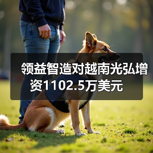 领益智造对越南光弘增资1102.5万美元（图3）