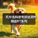 风华高科发布超低阻电阻器RT系列（图2）