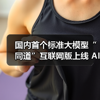 国内首个标准大模型“同道”互联网版上线 AI破局行业痛点（图3）