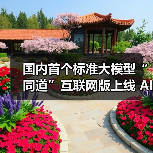 国内首个标准大模型“同道”互联网版上线 AI破局行业痛点（图4）