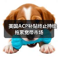 美国ACP补贴终止持续拖累宽带市场(图3) 美国ACP补贴终止持续拖累宽带市场(图3)
