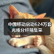 中国移动启动624万套光缆分纤箱集采(图2) 中国移动启动624万套光缆分纤箱集采(图2)