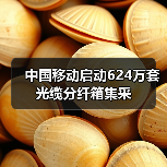 中国移动启动624万套光缆分纤箱集采(图3) 中国移动启动624万套光缆分纤箱集采(图3)
