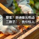 豪车？奥迪推出电动“三蹦子”，售价惊人（图4）