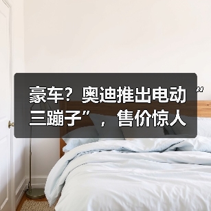 豪车？奥迪推出电动“三蹦子”，售价惊人（图3）