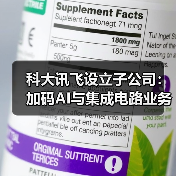 科大讯飞设立子公司:加码AI与集成电路业务布局(图4) 科大讯飞设立子公司:加码AI与集成电路业务布局(图4)
