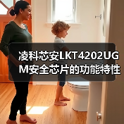 凌科芯安LKT4202UGM安全芯片的功能特性(图3) 凌科芯安LKT4202UGM安全芯片的功能特性(图3)