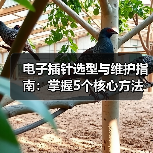 电子插针选型与维护指南:掌握5个核心方法(图2) 电子插针选型与维护指南:掌握5个核心方法(图2)