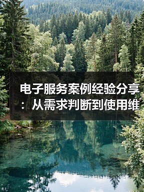 电子服务案例经验分享:从需求判断到使用维护全攻略(图3) 电子服务案例经验分享:从需求判断到使用维护全攻略(图3)